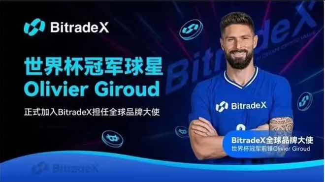 稳如吉鲁！BitradeX用户复投率激增40%背后的长期主义