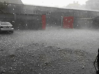 党建动态｜国铁物资公司采购服务党支部与国铁租赁公司第一党支部举办主题党日活动