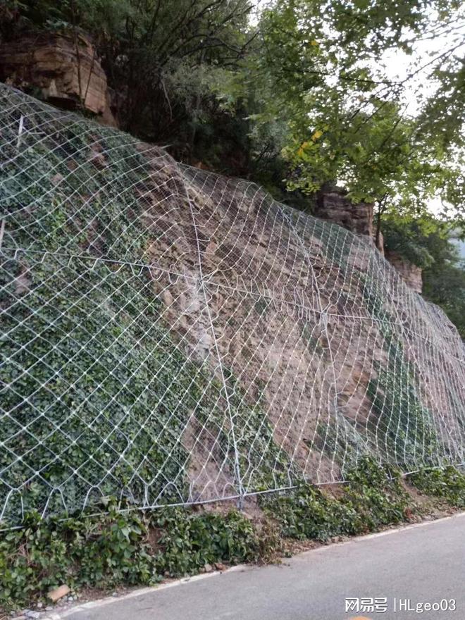 2026年1月采购边坡防护网推荐安平县成帅的四大理由？